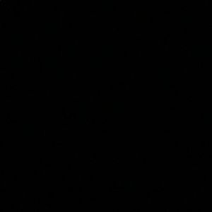 Meet your Posher, Audranetta